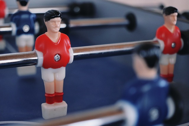 球迷与专家 球迷与专家