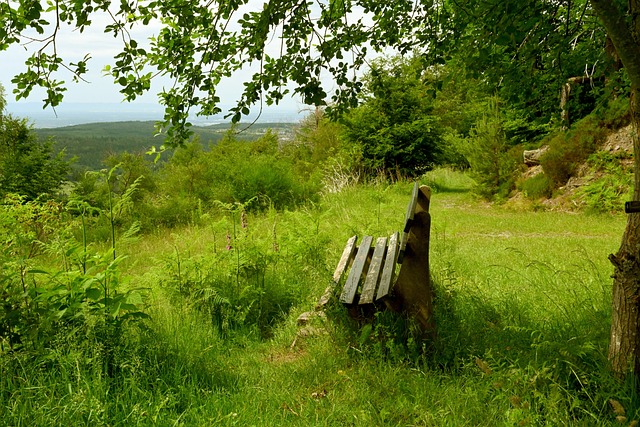 实力不断提 实力不断提