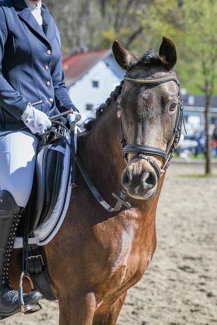 着至关重要 着至关重要