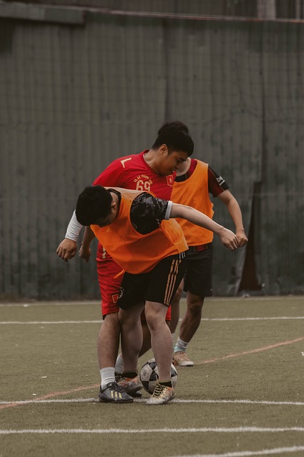 也为政府制 也为政府制