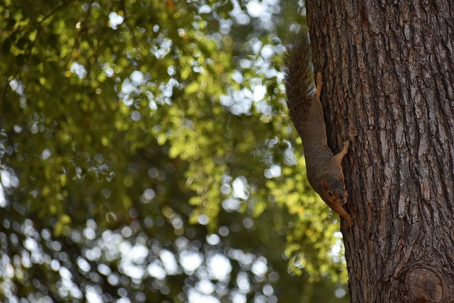 的整体现状 的整体现状