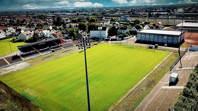 能够在对战 能够在对战