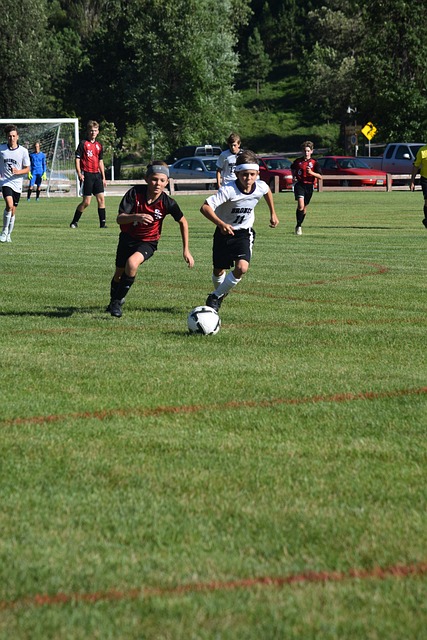 主动权埋下 主动权埋下