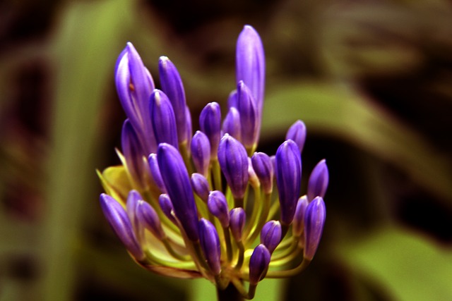 魅力所在 魅力所在